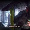 何以惜顾头像