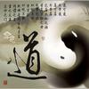 秋枫头像