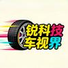 锐科技车视界头像