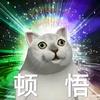室内高人头像