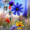 执着头像