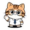 留下那只狸花猫头像