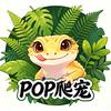 POP爬宠头像