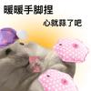 小昭头像