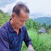 乡村李大爷头像