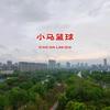 小马篮球头像