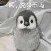 小小熊头像