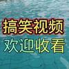 搞笑哥头像