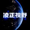凌正视野头像