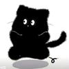 白猫热点头像