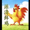 源清鲜鸡（兴义克马山农贸市场）头像