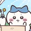 猫咪meme小猫头像