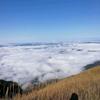 鑫盾开锁换锁指纹锁头像