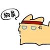 追风头像