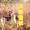 语棠馆长头像