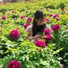 菲菲日常头像