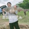 小许（主攻鲢鳙）头像