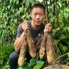 小熊养家头像