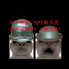 玩乐高的不会剪辑(若私信不回则真有事)头像
