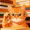 橘猫识堂头像