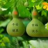 良辰美景头像