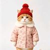 橘猫小故事头像