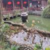 顺华头像