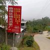 云南临沧杨光洪茶厂头像