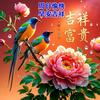 55岁人生导师头像