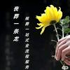 江夏金口王倩殡葬礼仪服务一条龙头像