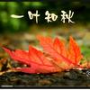 一叶知秋头像