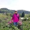 柳暗花明头像