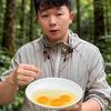 青石养元头像