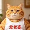 冬瓜头像