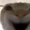 鼠鼠头像