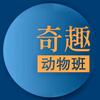 奇趣动物班头像