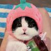 ☞😃看趣味♛7头像