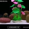 博学多才的良道头像