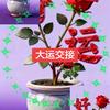 用户9815463488716爱好头像
