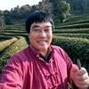牛鼻子 茶头像
