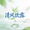 清风饮露头像