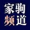 家驹频道头像