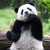阿宅（没达1万粉之前都会回关）头像