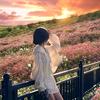 音校.落樱头像