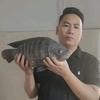 无心哥🎣头像