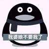 圣上忘情头像