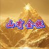 山有金银头像