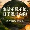 半生烟火半亩田头像