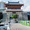 与风同行头像
