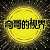 奇AI歌的视界头像